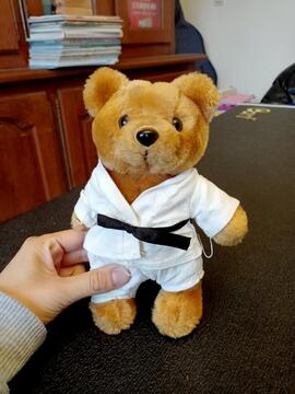 Peluche ourson judo