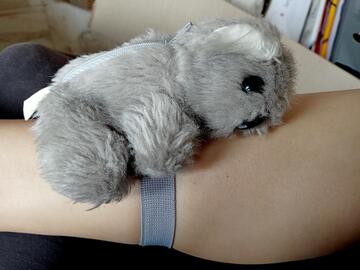 Petit koala à accrocher