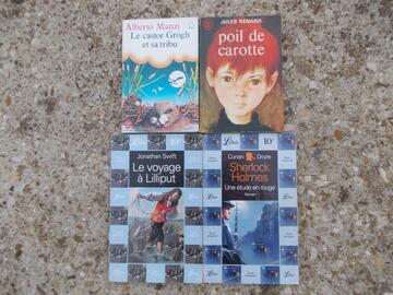 Lot de livres pour enfants/adolescents