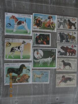 12 timbres Chiens - divers pays