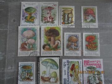 12 timbres Champignons - divers pays