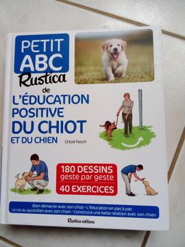 éducation du chiot