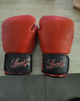 gant de boxe