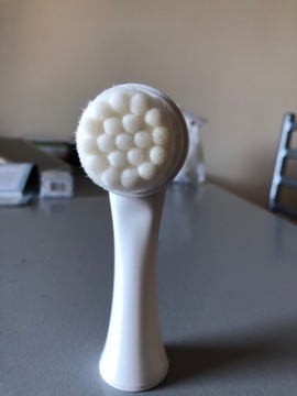 brosse visage