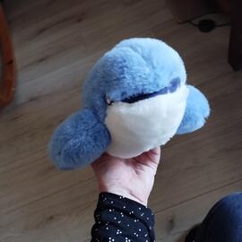 peluche dauphin