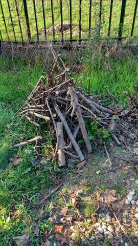 Bois de chauffage à faire sécher. Et plus si besoin.