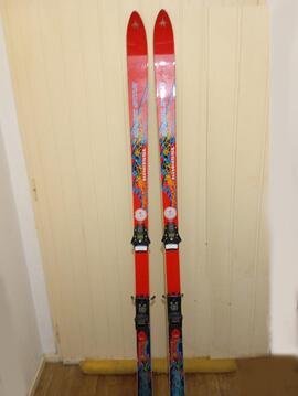 Paire de skis anciens ( 1995-2000) Très bon état