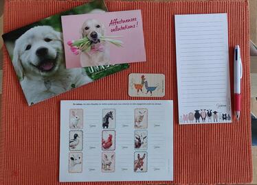 Poster, bloc-notes et stickers thème animaux