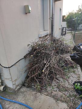 petit bois de chauffage ou barbecue