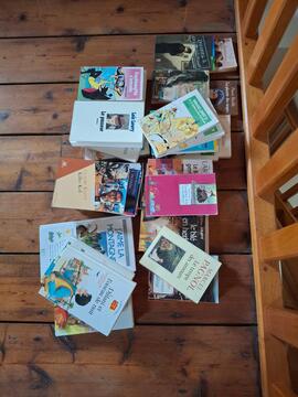 lot livres de poche