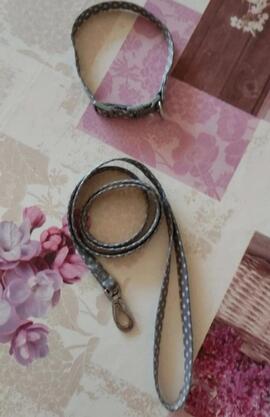 Collier + laisse petit chien