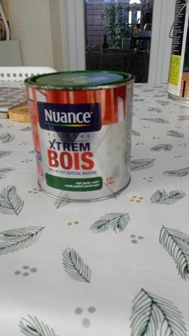 peinture extérieur bois extreme vert jardin neuve