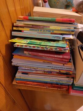 lot de livres pour enfant (cf photo pour les titres)