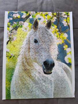 puzzle cheval