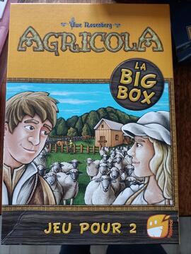 jeu de société agricola (2 joueurs)