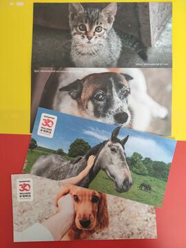 Cartes + photos animaux 30 Millions d'Amis