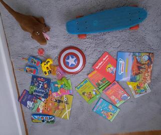 lot livres jouets enfant