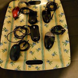 6 souris filaires