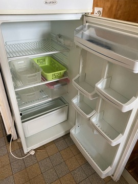 frigo + petit congélateur