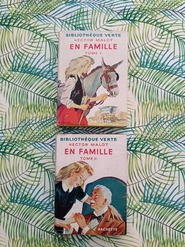 Livres enfant - Bibliothèque verte - Hector Mallot en famille