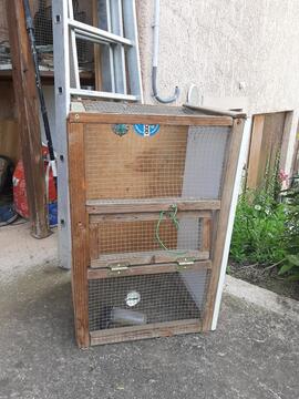 cage oiseau