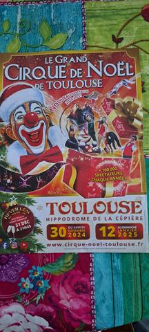 invitation pour cirque de Noël