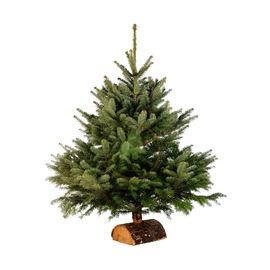 Sapin de Noël