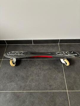 skateboard 2 roues (waveboard)