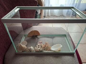 petit aquarium