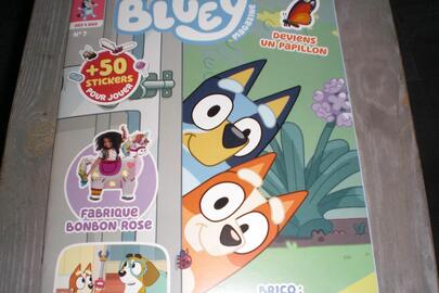 livre Bluey