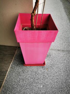 Pot en plastique rose