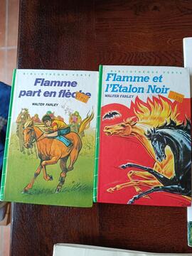 deux livres sur les chevaux