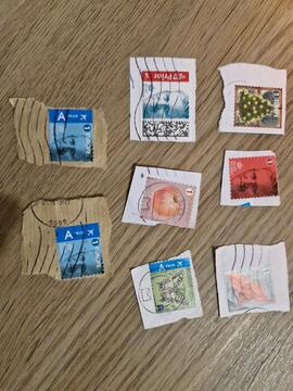 lot N°5. 8 timbres de Belgique