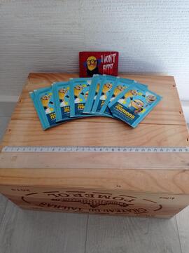 carte les minions