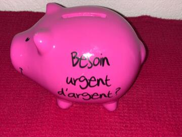 - Petit cochon tirelire "besoin urgent d'argent"