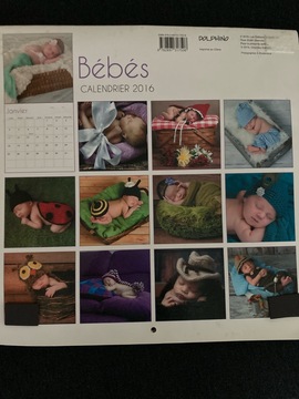 calendrier Anne Geddes