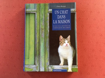 un chat dans la maison, gros livre