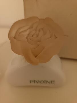 Parfum pivoine