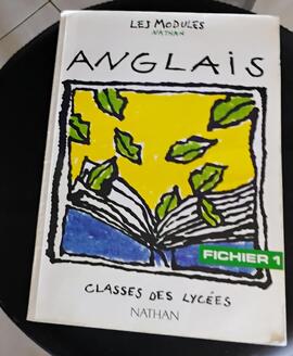 fichier 1 module d'anglais classe des lycées