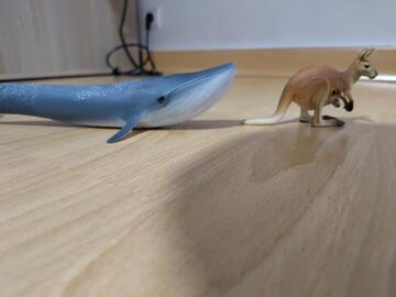 Figurine baleine et kangourou