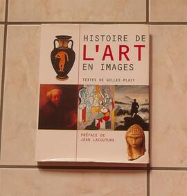 livre histoire de l'art en images