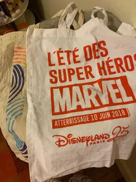 2 tote bag