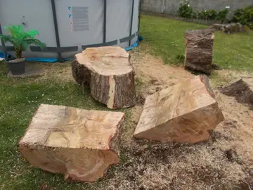 gros rondin de bois