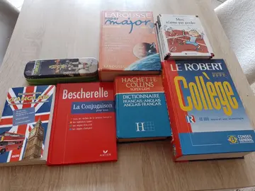livres dictionnaires