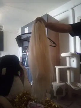 perruque blonde neufs