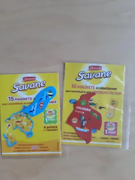 Magnets Savane