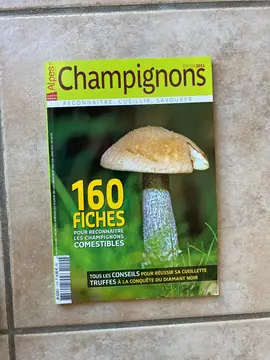Alpes magazine Champignons