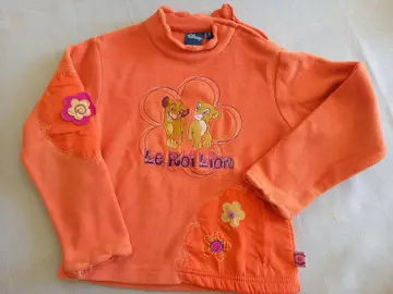 Pull polaire