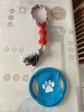 jeux pour chien - 1