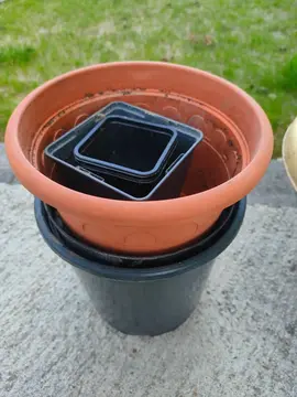 pots plastiques plantes Jardin